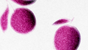 Prunes